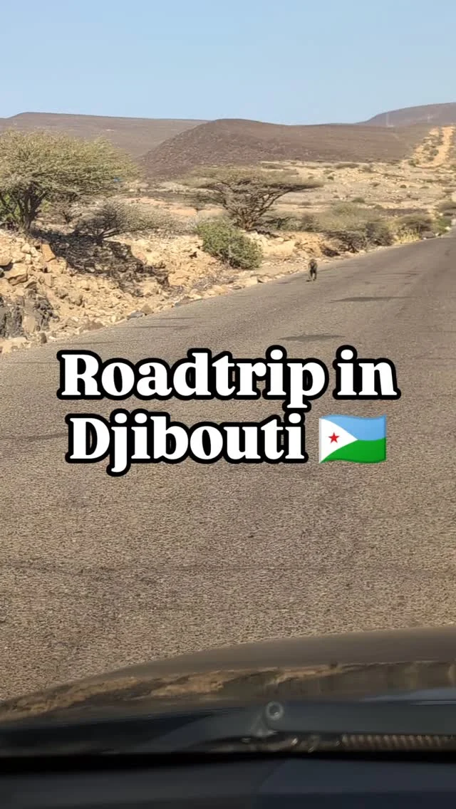 #djibouti #djibouti🇩🇯 #travelgram #travelawesome #travelstagram #travelblog #everypassportstamp #instatravel #travel #travelblogger #travelafrique #africa #africanbeauty #travelafrica #travelingram